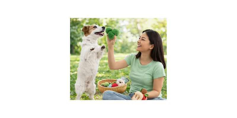 Nocciola Squeaky Plush Dog Toys Set – Interactive Fruit & Vegetable Chew Toys with Built-in Squeaker for Small to Medium Dogs