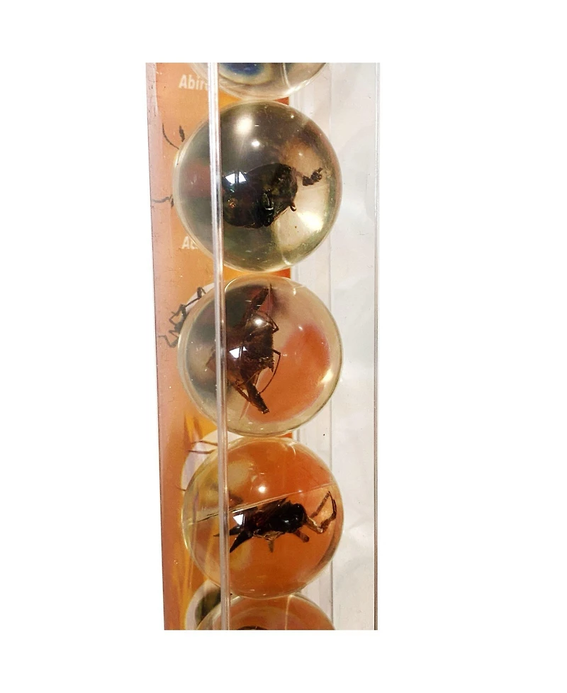 GeoWorld Bug Marbles