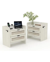 gaomon Set of 2 Boho Rattan Nightstands, Each Equipped with a Modern Type-c Charging Station and 2 Large Storage Drawers