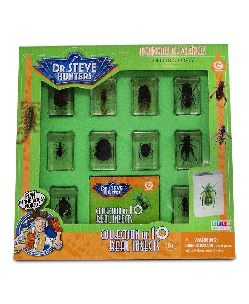 Geoworld Bug's World - Collection of 10 Real Insects