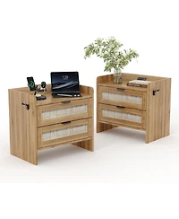 gaomon Rattan Bedside Table Nightstand, 2 Drawer, 1 Pcs Cabinet, Bedroom Organizer and Storage Cabinet