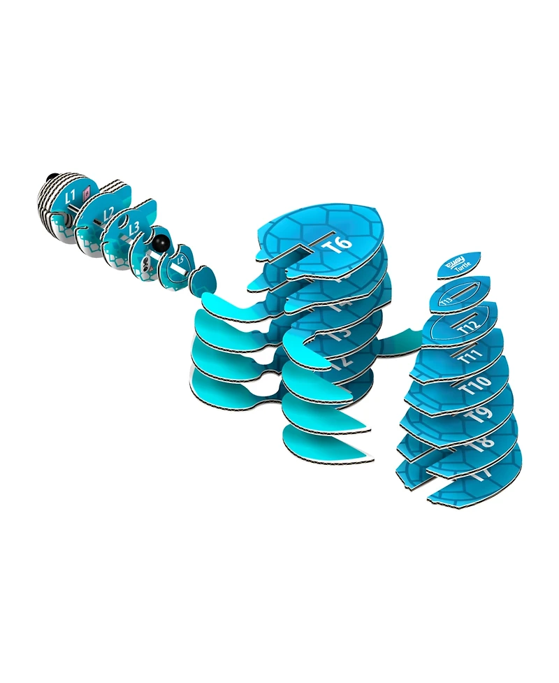 Eugy Turtle 3D Puzzle