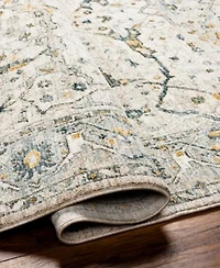 Livabliss Dresden Dre 2309 Rug Collection