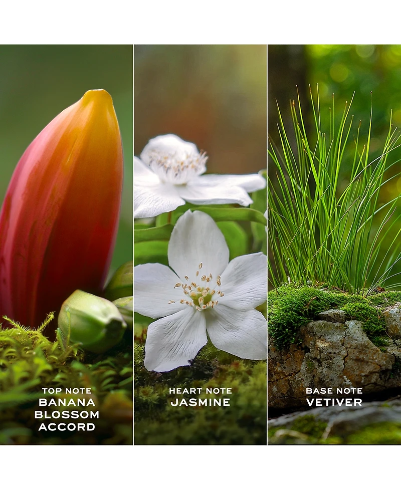 Marc Jacobs 2-Pc. Daisy Wild Eau De Parfum Gift Set