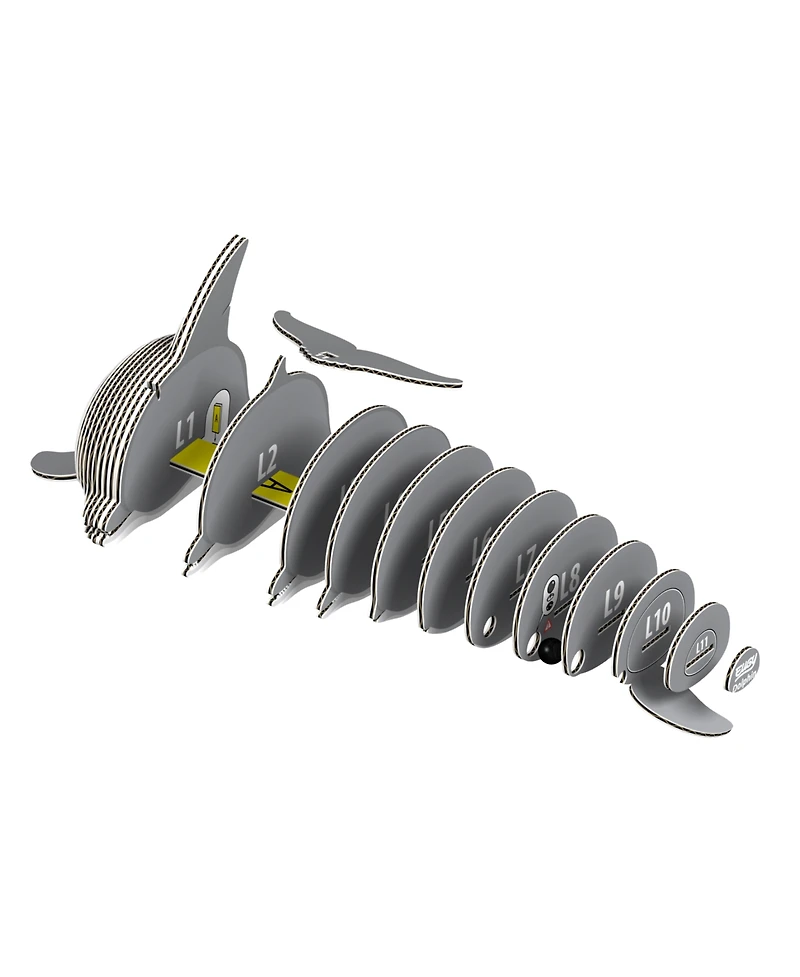 Eugy Dolphin 3D Puzzle