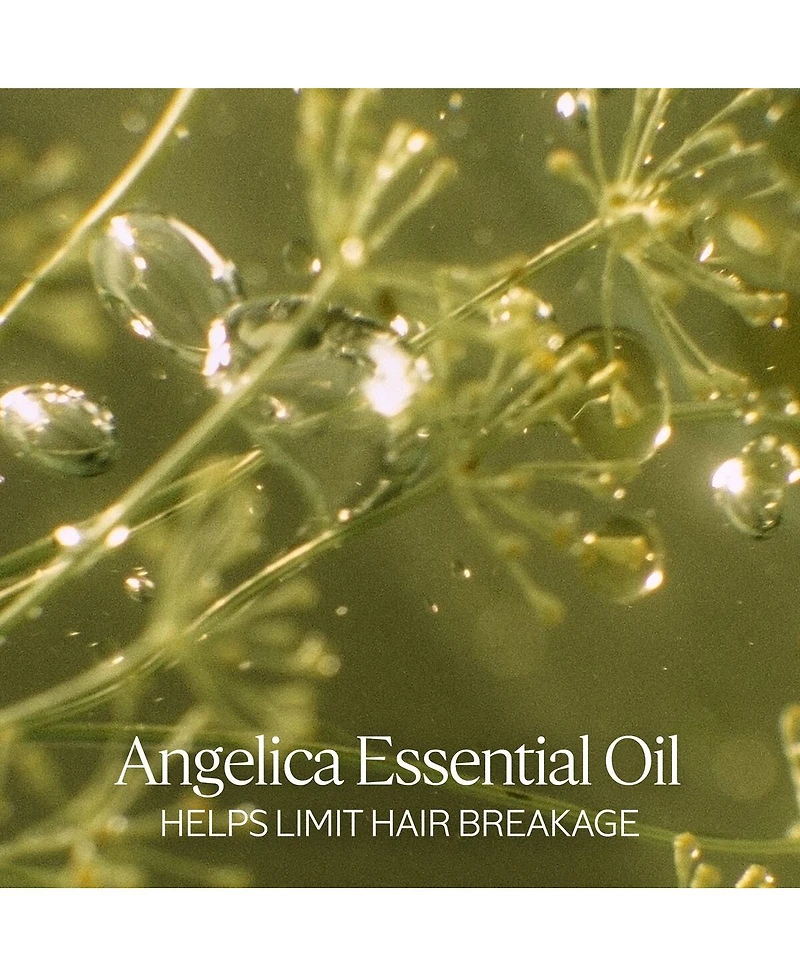 L'Occitane Intensive Repair Shampoo Refill 16.90 fl oz