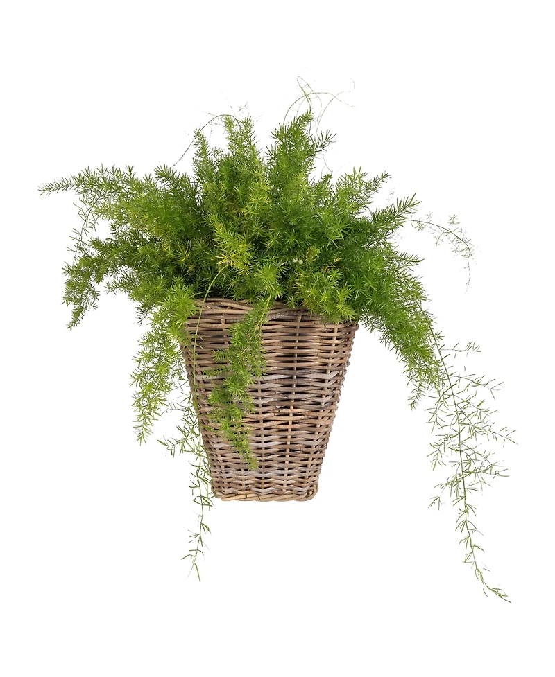 Artifacts Trading Company Square Tapered Planter with Plastic Insert