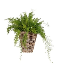 Artifacts Trading Company Square Tapered Planter with Plastic Insert