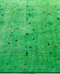 Adorn Hand Woven Rugs Fine Vibrance M901 4' 2" x 6' 3" Area Rug