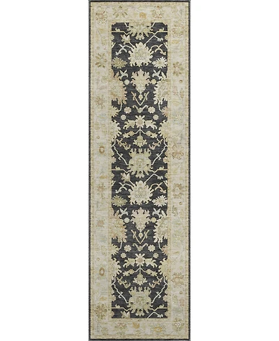 Dalyn Hatay Washable HY2 2'3"x7'6" Runner Area Rug