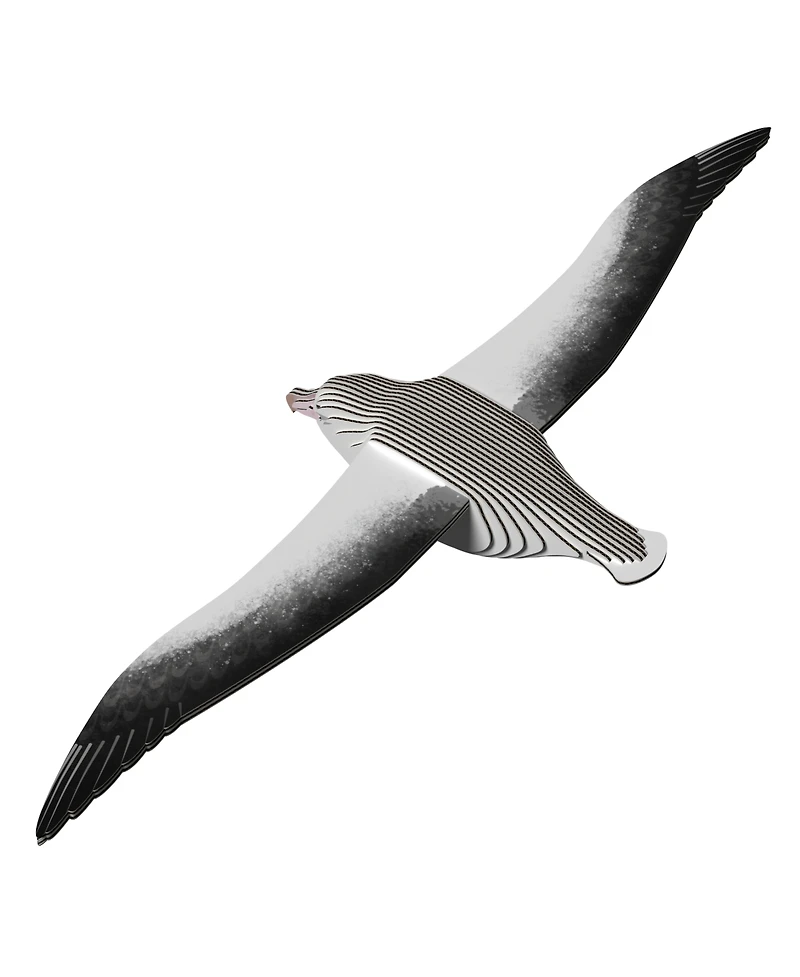 Eugy Royal Albatross 3D Puzzle