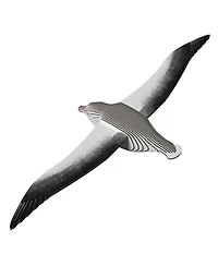 Eugy Royal Albatross 3D Puzzle