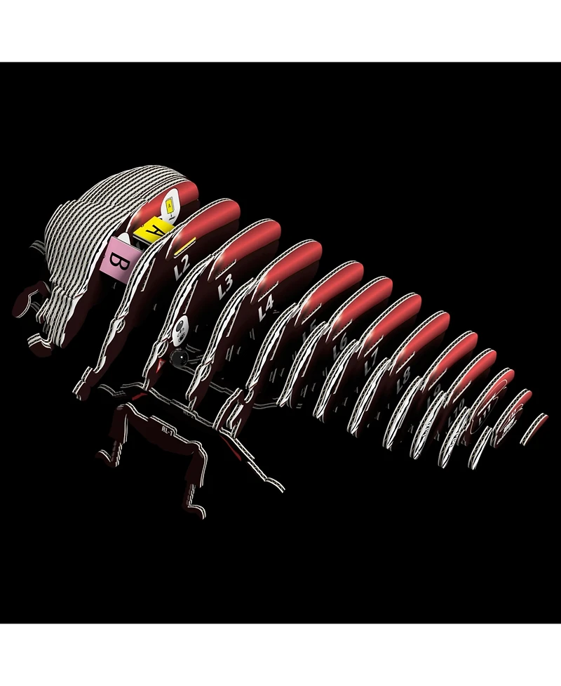 Eugy Goliath Beetle 3D Puzzle