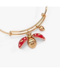 Alex and Ani Make Your Own Luck' Ladybug Charm Bangle