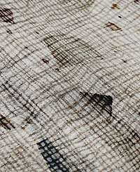 Addison Mayfield AMF2092 8'x10' Area Rug