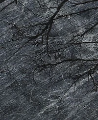 Addison Mayfield Amf2083 Area Rug Collection