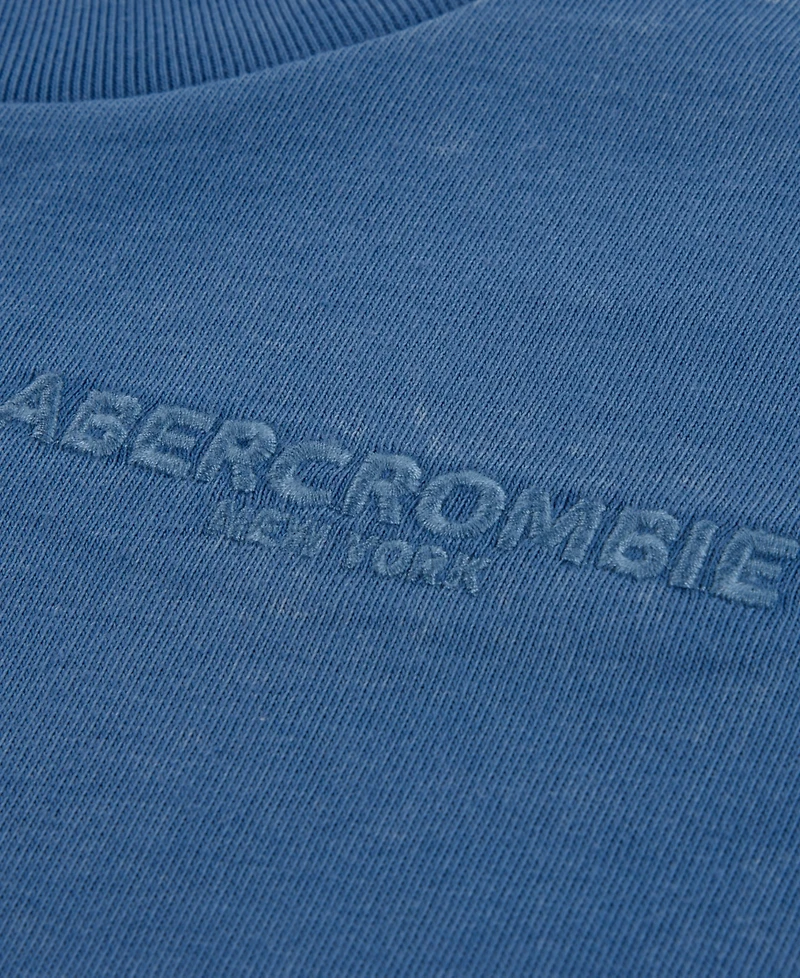 abercrombie kids Boys' 8-20 Sunfaded Knit Top