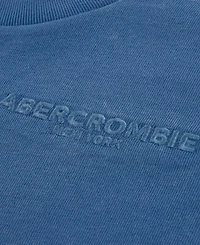 abercrombie kids Boys' 8-20 Sunfaded Knit Top