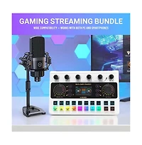 Zealsound Multifunctional Podcast Microphone Bundle with Live Sound Card Audio Mixer