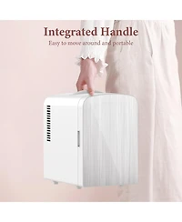 Antarctic Star Brushed Stainless Steel Mini Fridge, 4L Portable Cooler (Ac/Dc)