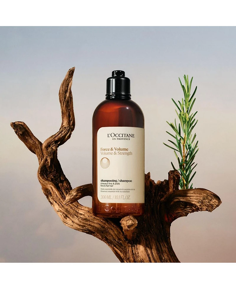 L'Occitane Volume & Strength Shampoo 2.50 fl oz