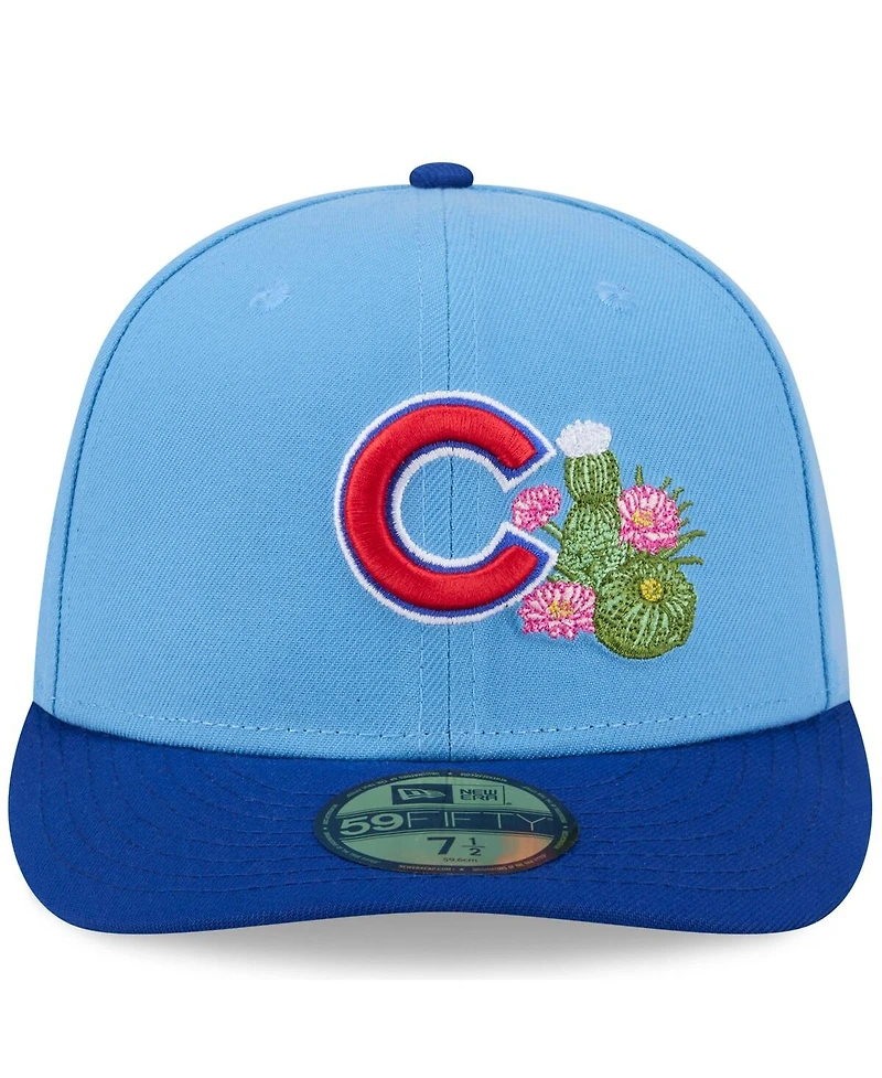 New Era Men's Light Blue/Royal Chicago Cubs 2026 Spring Training 59FIFTY Fitted Hat