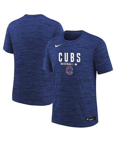 Nike Big Boys and Girls Royal Chicago Cubs Authentic Collection Velocity Dri-fit T-Shirt