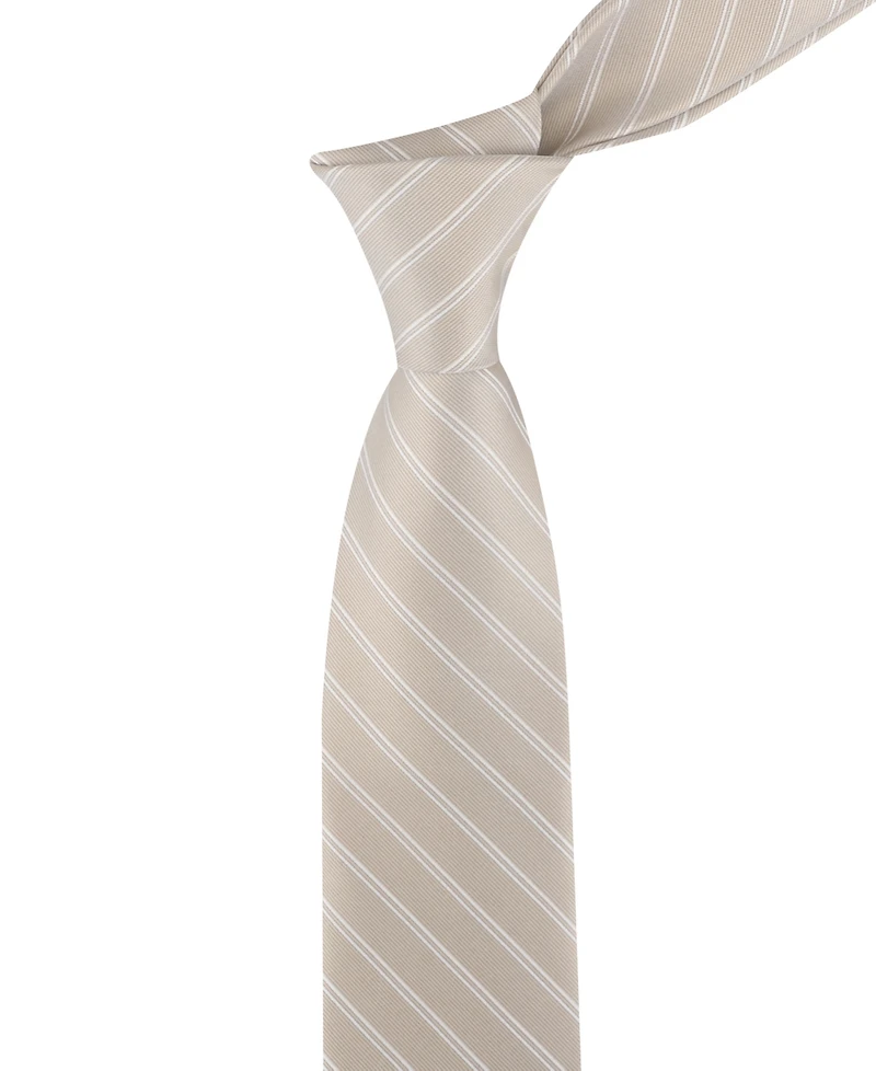 Calvin Klein Men's Sabine Stripe Classic Tie