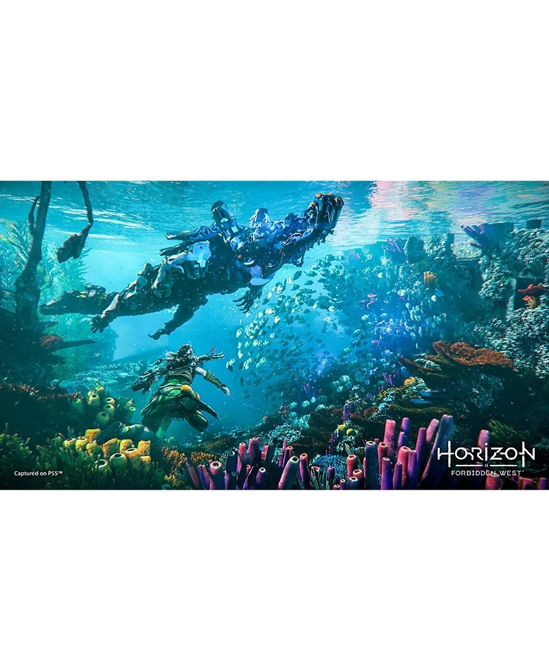 Sony Horizon Forbidden West