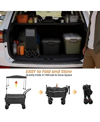 Rainsken Folding Wagon Cart
