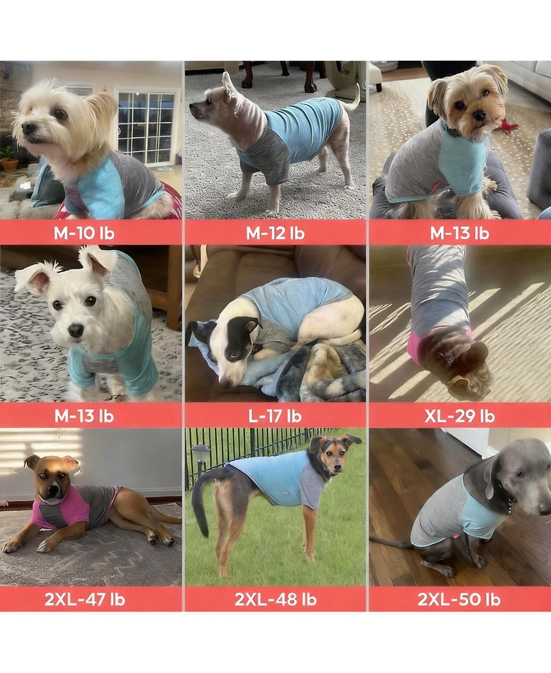 Aronkl 2-Pack Lightweight Athletic Dog T-Shirt with Reflective Label for Outdoor Use