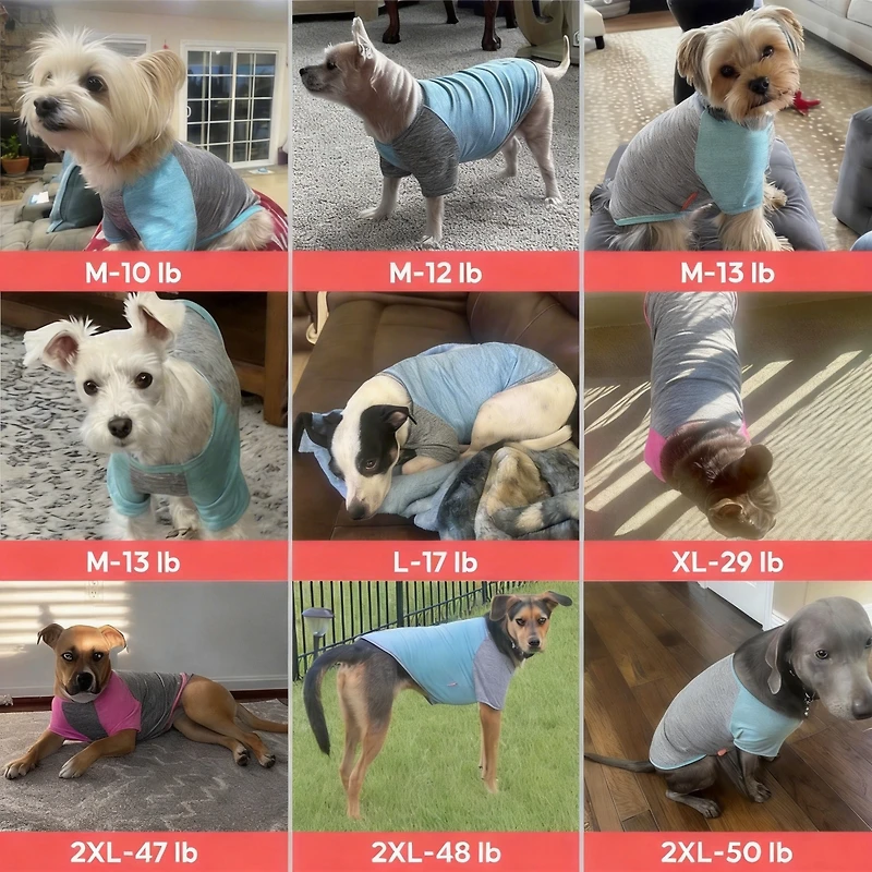 Aronkl 2-Pack Lightweight Athletic Dog T-Shirt with Reflective Label for Outdoor Use