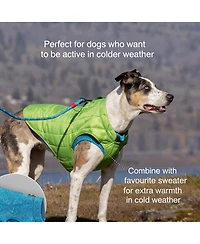Aronkl Loft Dog Jacket: Insulated, Reversible, Water-Resistant, Reflective