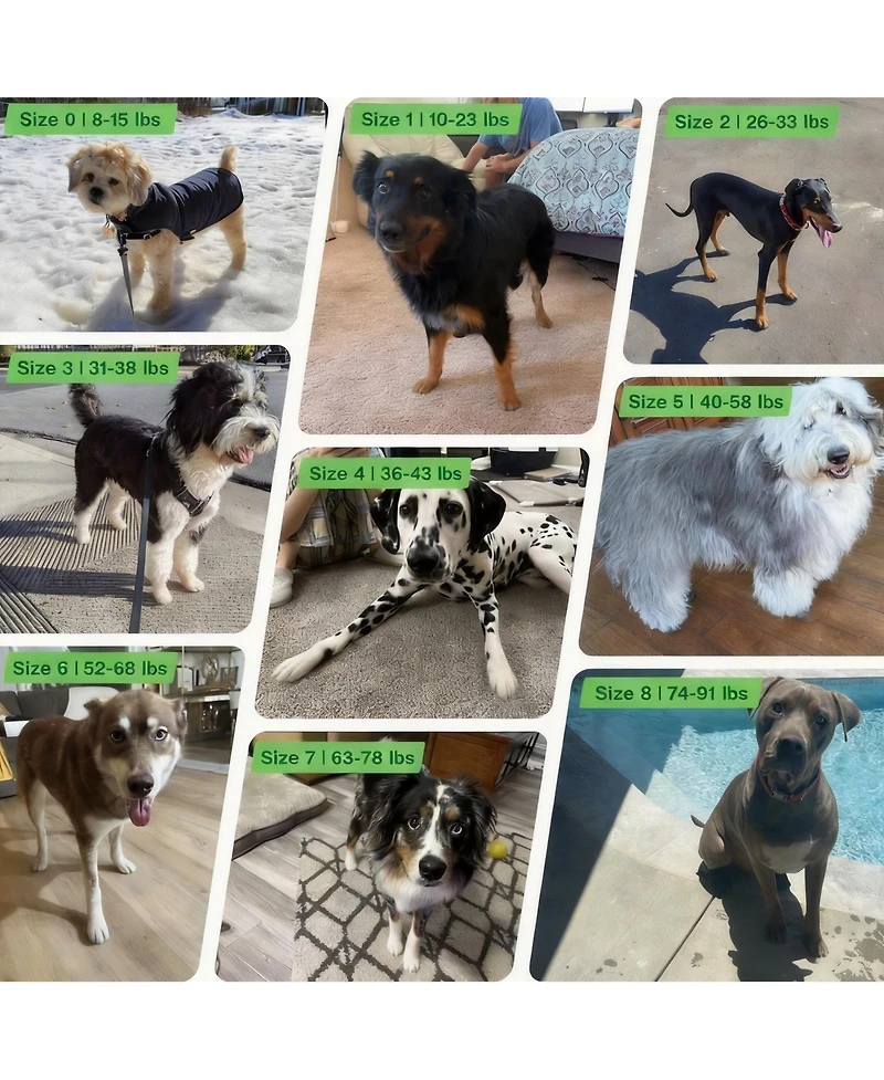 Aronkl Anti-slip Dog Boots for Large Dogs - Winter Snow & Hot Pavement Protection