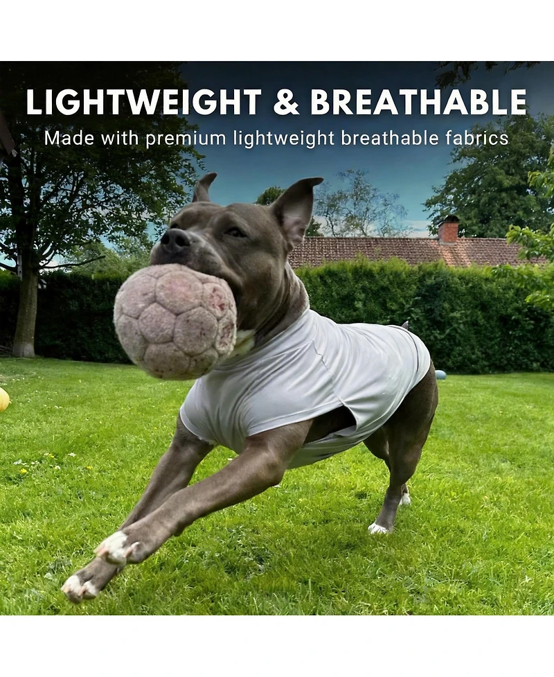Aronkl Uv Protection Spf 30 Breathable Quick Dry Dog T Shirt