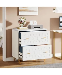 Rainsken 2-Drawer Lateral File Cabinet for Legal/Letter/A4 Size