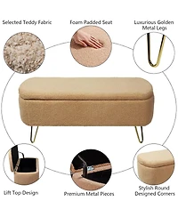 Rainsken Modern Storage Ottoman Bench