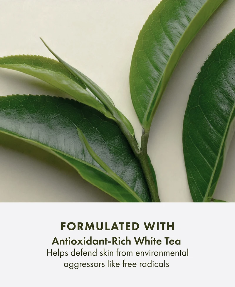 Origins A Perfect World Spf 40 Moisturizer With White Tea, 1.7 oz.