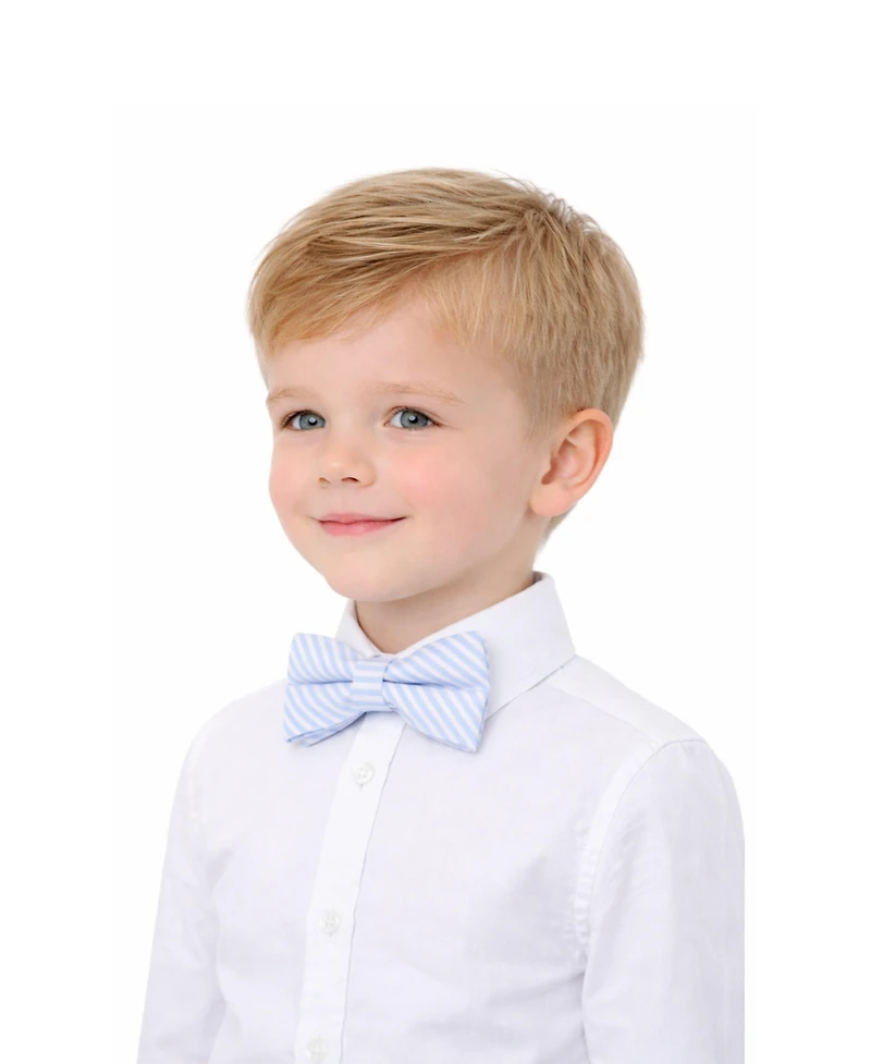 Bits & Bows Boys Little/Big Seersucker Bow Tie