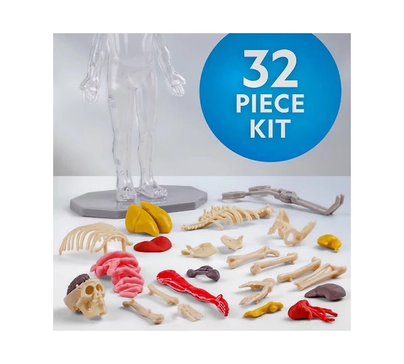 National Geographic Glow-In-The-Dark Human Body