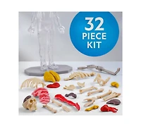 National Geographic Glow-In-The-Dark Human Body