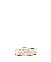 Pre-Owned Celine Ava Bag Triomphe Coated Canvas