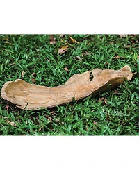 Uttermost 4.75" Teak Leaf Bowl