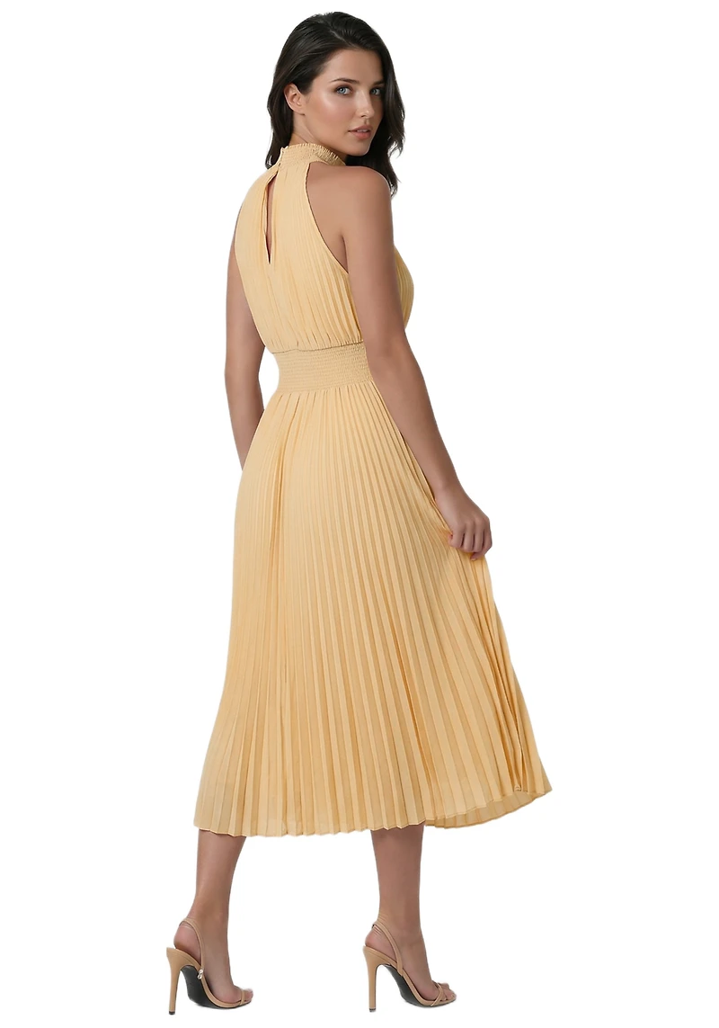 Bebe Women's Sleeveless Pleated Dress