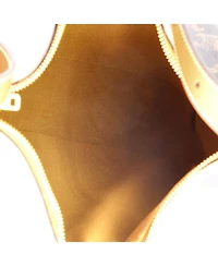 Pre-Owned Celine Medium Heloise Bag Triomphe Coated Canvas