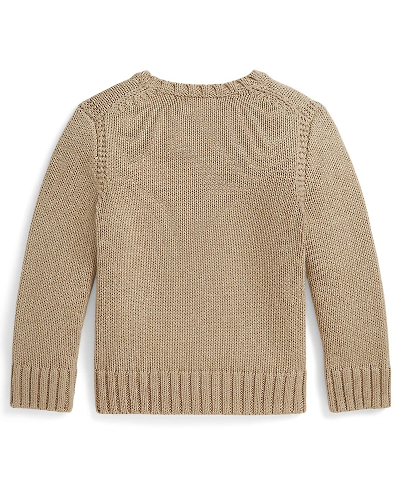 Polo Ralph Lauren Boys' 2T-7 Contrast Trim Iconic Flag Sweater