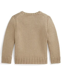 Polo Ralph Lauren Boys' 2T-7 Contrast Trim Iconic Flag Sweater