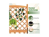 Raised Garden Bed with Diamond Lattice Trellis and Drainage Holes
