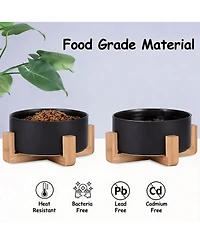 Aronkl Ceramic Cat Dog Bowl Set With Stand Anti Slip 2 Bowls Dishwasher Microwave Safe Raised For Food Water