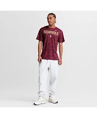 Nike Men's Garnet Florida State Seminoles Dugout Velocity Dri-fit T-Shirt